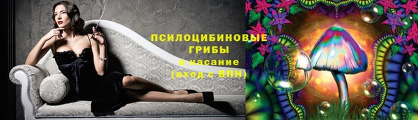 гидропоника Лабытнанги