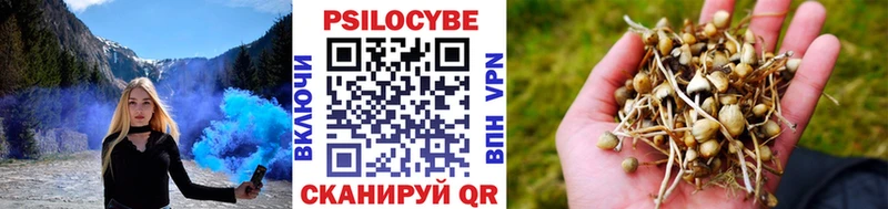 Псилоцибиновые грибы мицелий  Купить закладки  Химки 